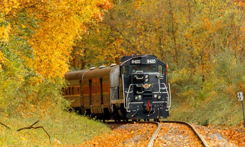 DCRC Destinations: Fall Foliage Train Ride