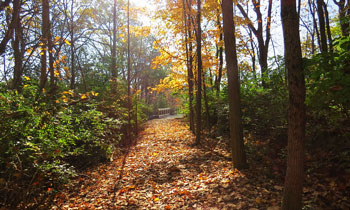 Fall Hike Series